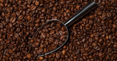 Coffee beans are seen in this photo from Feb. 4, 2024. (Reuters Photo)