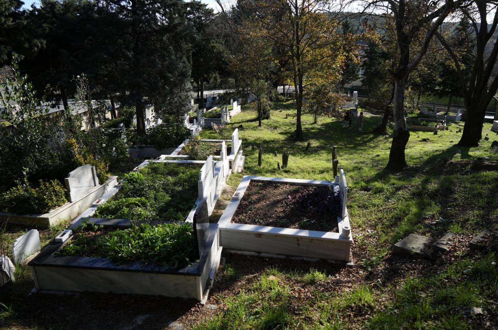 A view of the cemetery plot provided by the Eyüpsultan Municipality as collateral, Istanbul, Türkiye, Nov. 27, 2024. (IHA Photo)