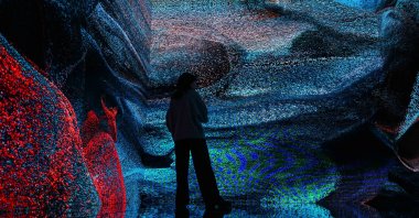 A visitor examines the exhibition at AKM in Istanbul, Türkiye, Nov. 27, 20224. (AA Photo)