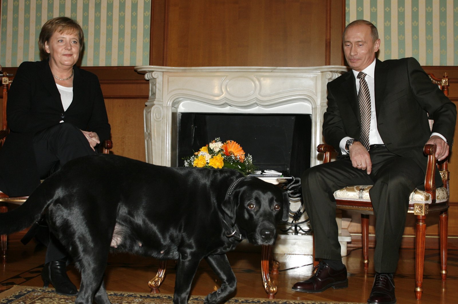 German Chancellor Angela Merkel and Russian President Vladimir Putin look on as Putin&#039;s dog Cony walks past during the meeting in Putin&#039;s residence in the Russian Black Sea resort of Sochi, Jan. 21, 2007. (AP File Photo)