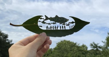 This undated photo provided by Japanese leaf-cutting artist, who goes by the name Lito, shows his work titled: &quot;Leaf Aquarium.&quot; (AP Photo)