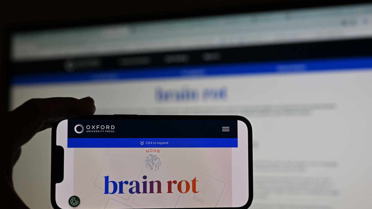 &quot;Brain rot” was chosen by a combination of public vote and language analysis by Oxford lexicographers. (AA Photo)