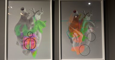 Artworks on display at the &quot;Winter Tale&quot; exhibition, Istanbul, Türkiye, Dec. 3, 2024. (AA Photo)