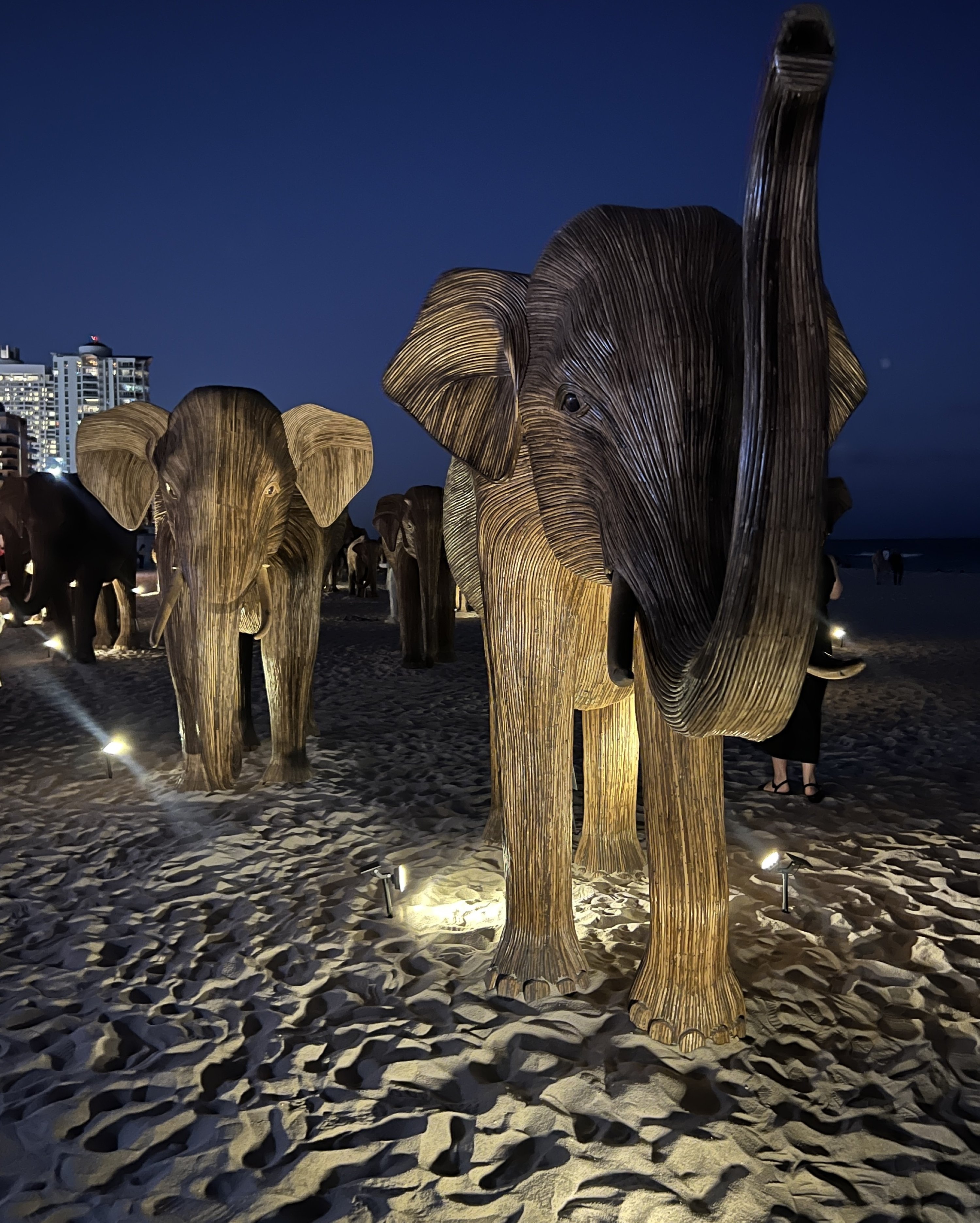 Elephant-shaped sculptures exhibited at Art Basel Miami Beach in Miami, U.S., Dec. 12, 2024. (Photo by Funda Karayel)