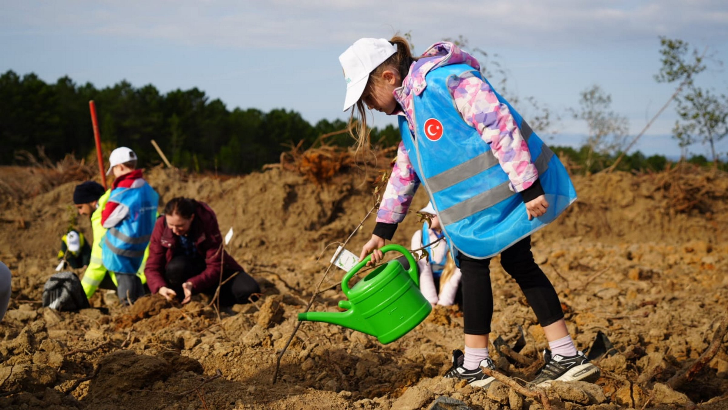 Some 100,000 saplings were planted as part of the &quot;1 Million Trees Campaign&quot; in Türkiye, Nov. 15, 2024. (AA Photo)