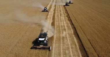 A drone view shows combines harvesting wheat in a field in the Rostov Region, Russia July 9, 2024. (Reuters File Photo)