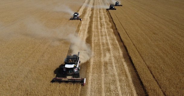 A drone view shows combines harvesting wheat in a field in the Rostov Region, Russia July 9, 2024. (Reuters File Photo)