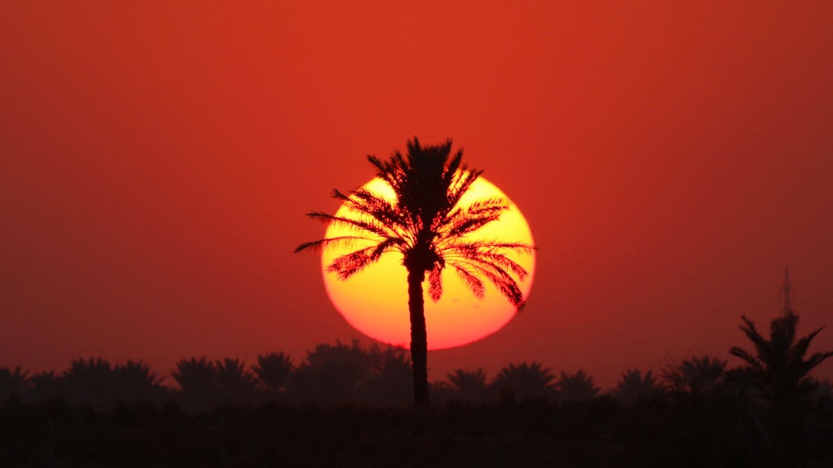 The sun sets behind palm trees near the city of al-Qasim, Babylon governorate, Iraq, Nov. 15, 2024. (AFP Photo)