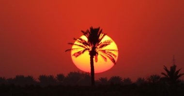 The sun sets behind palm trees near the city of al-Qasim, Babylon governorate, Iraq, Nov. 15, 2024. (AFP Photo)