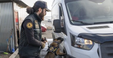 A narcotics detection dog aids Kars police in the fight against drugs, Kars, Türkiye, Dec. 4, 2024. (AA Photo)