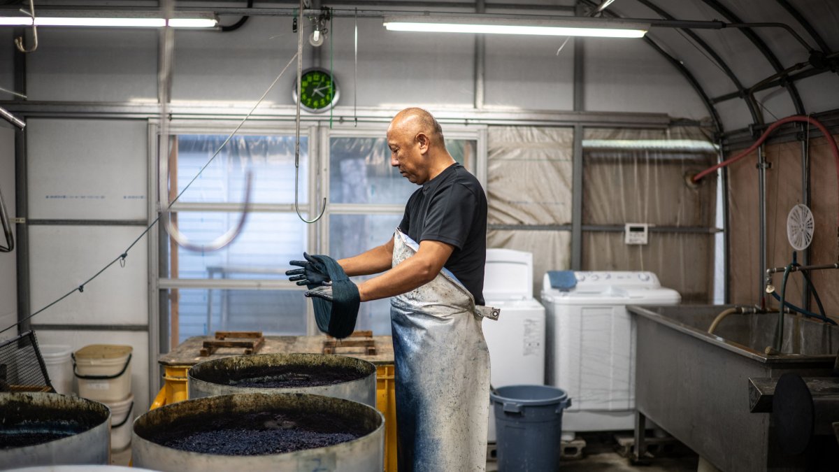 Dyeing craftsman Yoshiharu Okamoto demonstrates the hand-dyed fabrics process at the Momotaro Jeans factory, Kojima district, Okayama, Japan, Sept. 4, 2024. (AFP Photo)