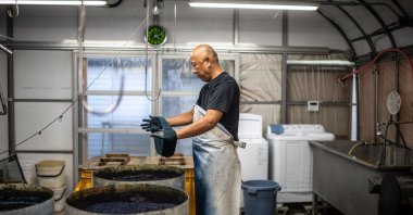 Dyeing craftsman Yoshiharu Okamoto demonstrates the hand-dyed fabrics process at the Momotaro Jeans factory, Kojima district, Okayama, Japan, Sept. 4, 2024. (AFP Photo)