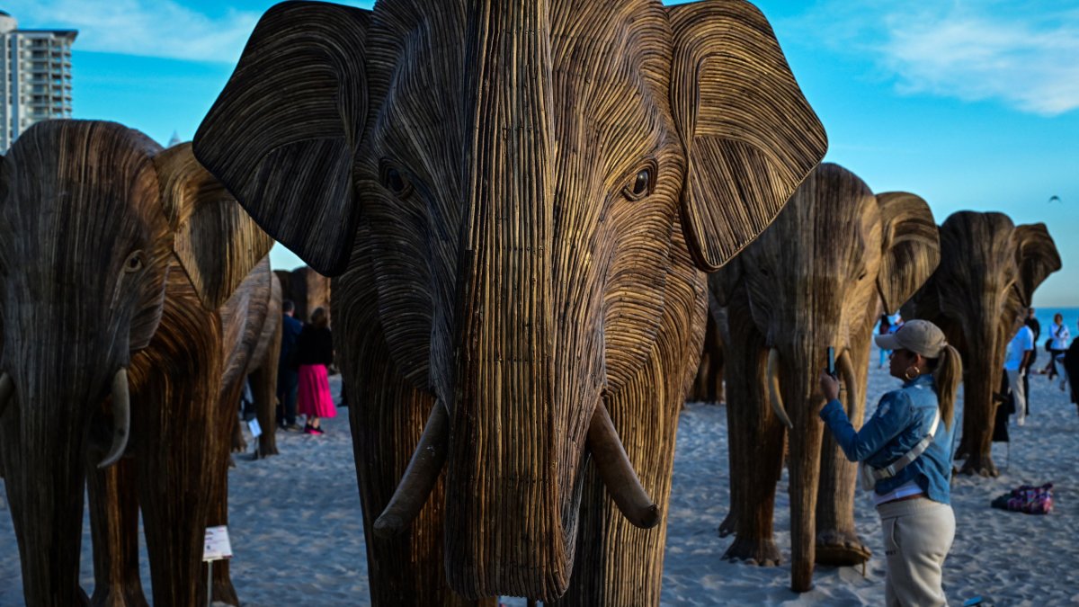 People visit the exhibition &#039;The Great Elephant Migration&#039; a public art exhibition of 100 hand-made, life-size Indian elephant sculptures, during Art Basel 2024 in Miami Beach, Florida, U.S., Dec. 6, 2024. (AFP Photo)