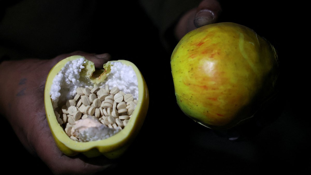 Captagon pills are seen inside an apple-shaped container, on the outskirts of Damascus, Syria, Dec. 12, 2024. (Reuters Photo)