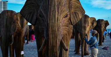 People visit the exhibition &#039;The Great Elephant Migration&#039; a public art exhibition of 100 hand-made, life-size Indian elephant sculptures, during Art Basel 2024 in Miami Beach, Florida, U.S., Dec. 6, 2024. (AFP Photo)