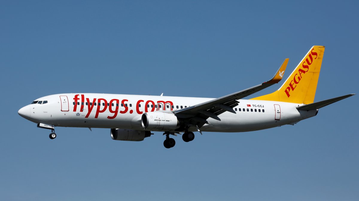 A Boeing 737-800 aircraft, operated by Pegasus Airlines, lands at Orly Airport near Paris, France, Sept. 6, 2019. (Reuters Photo)