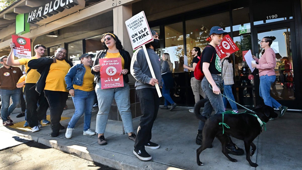 Starbucks workers hold signs as they picket during a strike in front of a Starbucks to demand collective bargaining agreements in Burbank, California, U.S., Dec. 20, 2024. (AFP Photo)