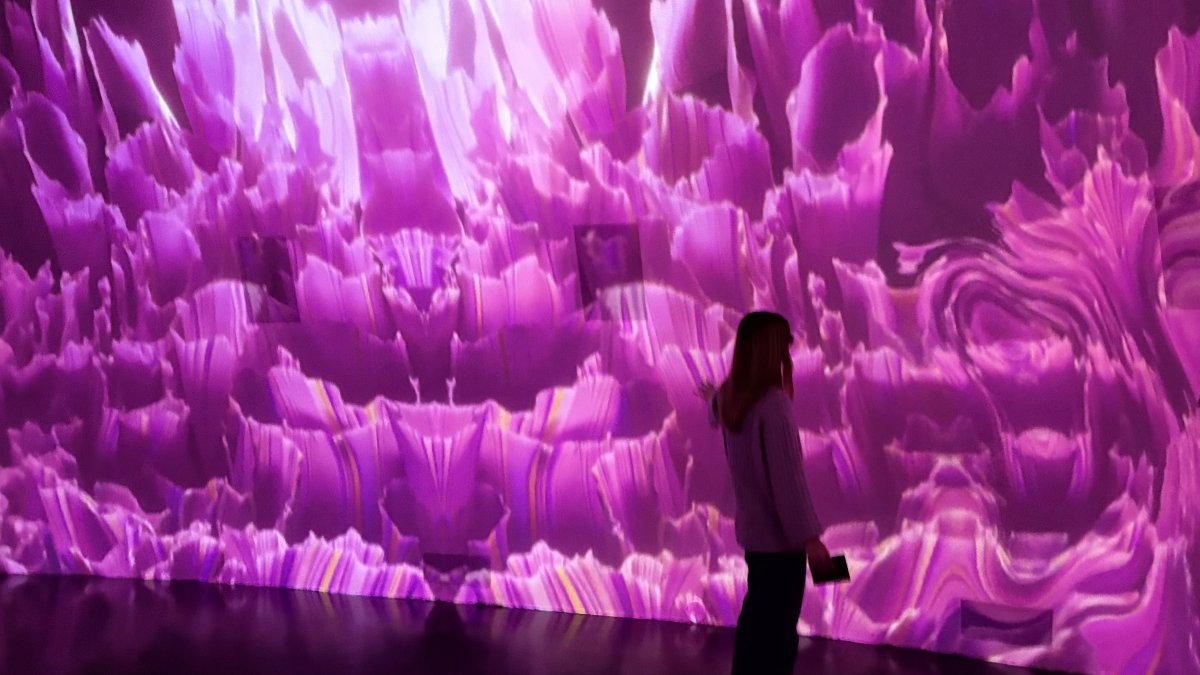 A visitor explores the exhibition in New York, U.S., Dec. 18, 2024. (Photo by Funda Karayel)