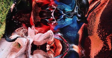 Refik Anadol Studio unveils a groundbreaking new project, &quot;Living Encyclopedia: Large Nature Model (LNM).&quot; (AA Photo)