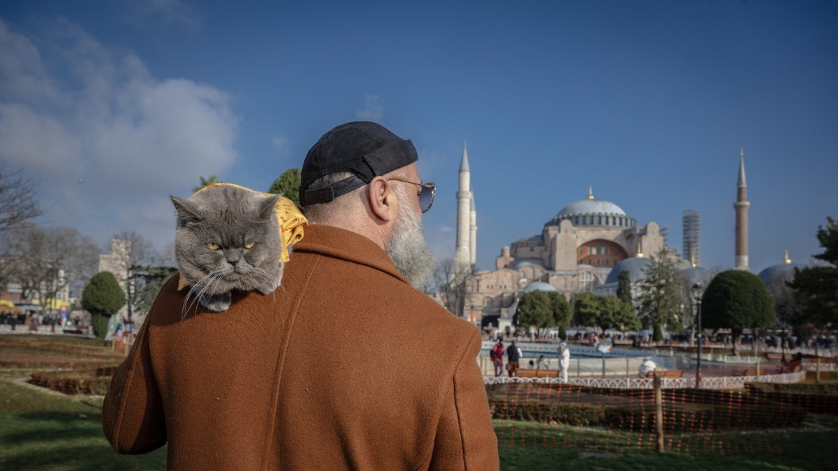 Reis the cat, on his owner&#039;s shoulder, explores the city&#039;s historic square, Istanbul, Türkiye, Dec. 18, 2024. (AA Photo)