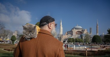Reis the cat, on his owner&#039;s shoulder, explores the city&#039;s historic square, Istanbul, Türkiye, Dec. 18, 2024. (AA Photo)
