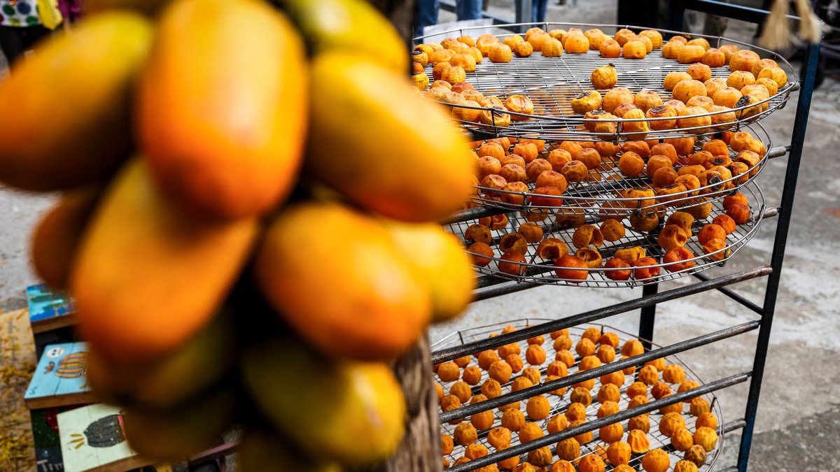 Persimmons dry on racks at Weiweijia persimmon farm in Xinpu township, Hsinchu county, Taiwan, Nov. 14, 2024. (AFP Photo)