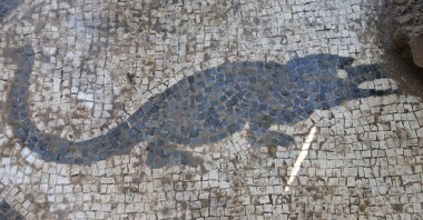 Mosaics have been discovered in the excavations conducted at the ancient city of Herakleia in Milas, Muğla, Türkiye, Dec. 27, 2024. (AA Photo)