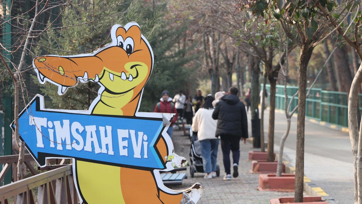 Gaziantep Zoo has a dedicated care unit for crocodiles, Gaziantep, Türkiye, Jan. 5, 2024. (DHA Photo) 