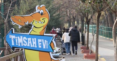 Gaziantep Zoo has a dedicated care unit for crocodiles, Gaziantep, Türkiye, Jan. 5, 2024. (DHA Photo) 
