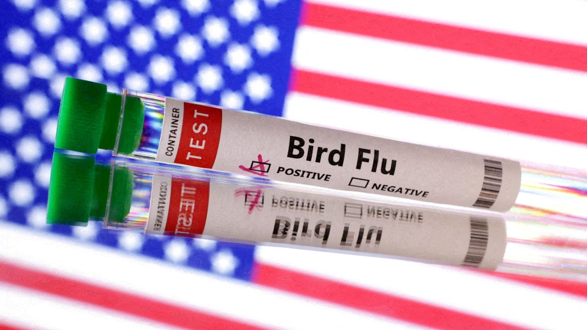 Test tube is seen labeled &quot;Bird Flu&quot; in front of the U.S. flag in this illustration taken, June 10, 2024. (Reuters Photo)