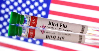 Test tube is seen labeled "Bird Flu" in front of the U.S. flag in this illustration taken, June 10, 2024. (Reuters Photo)