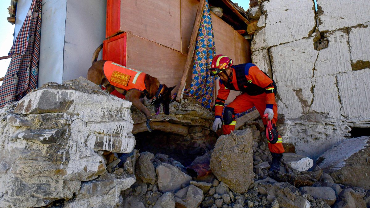 A rescuer searches a house for survivors with a rescue dog after an earthquake at Cuoguo township in Tibet&#039;s Shigatse, southwestern China, Jan. 8, 2025. (AFP Photo)