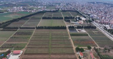 An aerial view of Forest Nursery showcasing the lush greenery and expansive sapling production fields, Izmir, Türkiye, Jan. 12, 2024. (AA Photo)