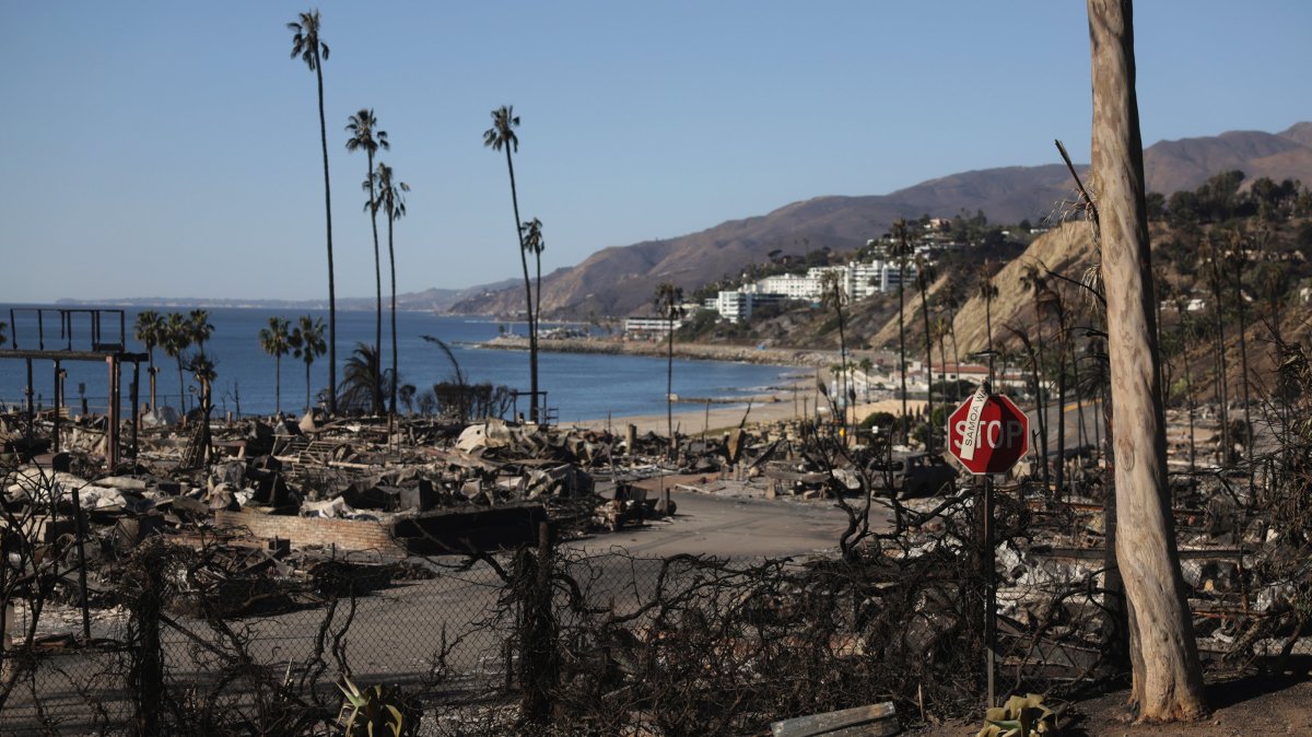 A neighborhood destroyed by the Palisades wildfire in the Pacific Palisades neighborhood of Los Angeles, California, U.S., Jan. 13, 2025. (EPA Photo)
