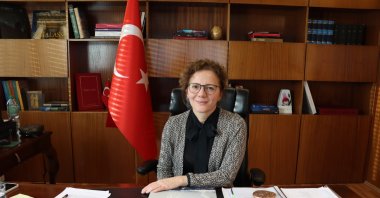 Ambassador Şebnem Incesu poses in her office in Bern, Switzerland, Jan. 19, 2025. (AA Photo)