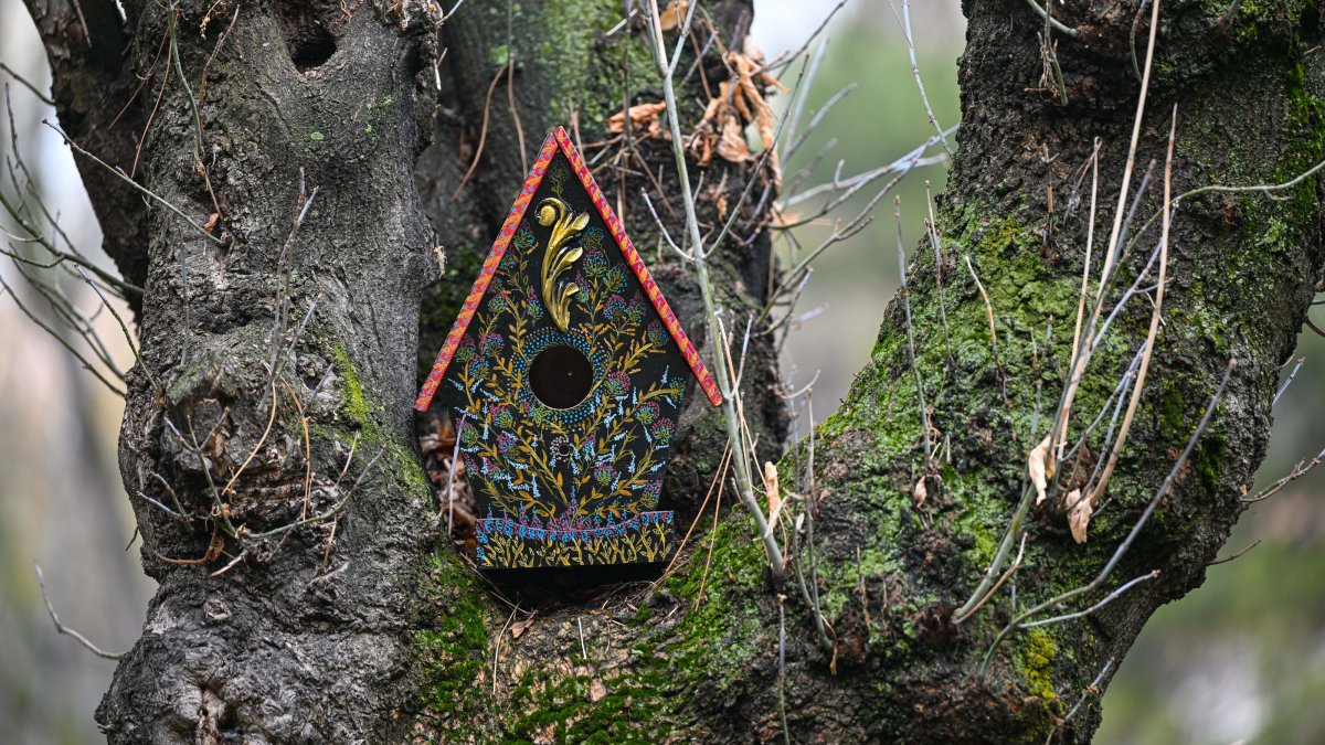 A birdhouse crafted by artist Naci Barışan hangs on a tree, Ankara, Türkiye, Jan. 19, 2025. (AA Photo)