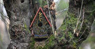 A birdhouse crafted by artist Naci Barışan hangs on a tree, Ankara, Türkiye, Jan. 19, 2025. (AA Photo)