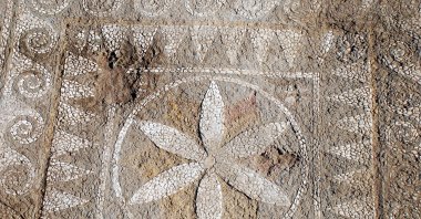 An undated photo of the mosaic discovered during excavations in the ancient city of Assos, located in Behramkale village in Çanakkale province, Türkiye. (AA Photo)