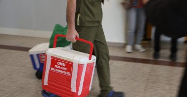 A nurse carrying an organ donation box at Samsun Ondokuz Mayıs University (OMÜ) Medical Faculty Hospital, Samsun, Türkiye, Jan. 24, 2024. (DHA Photo)