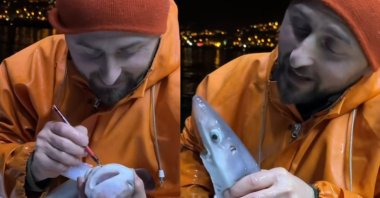 A screenshot from the viral video shows a fisherman giving baby sharks a life lesson and marking them with a pencil before releasing them, Black Sea coast, Türkiye, Jan. 27, 2025.