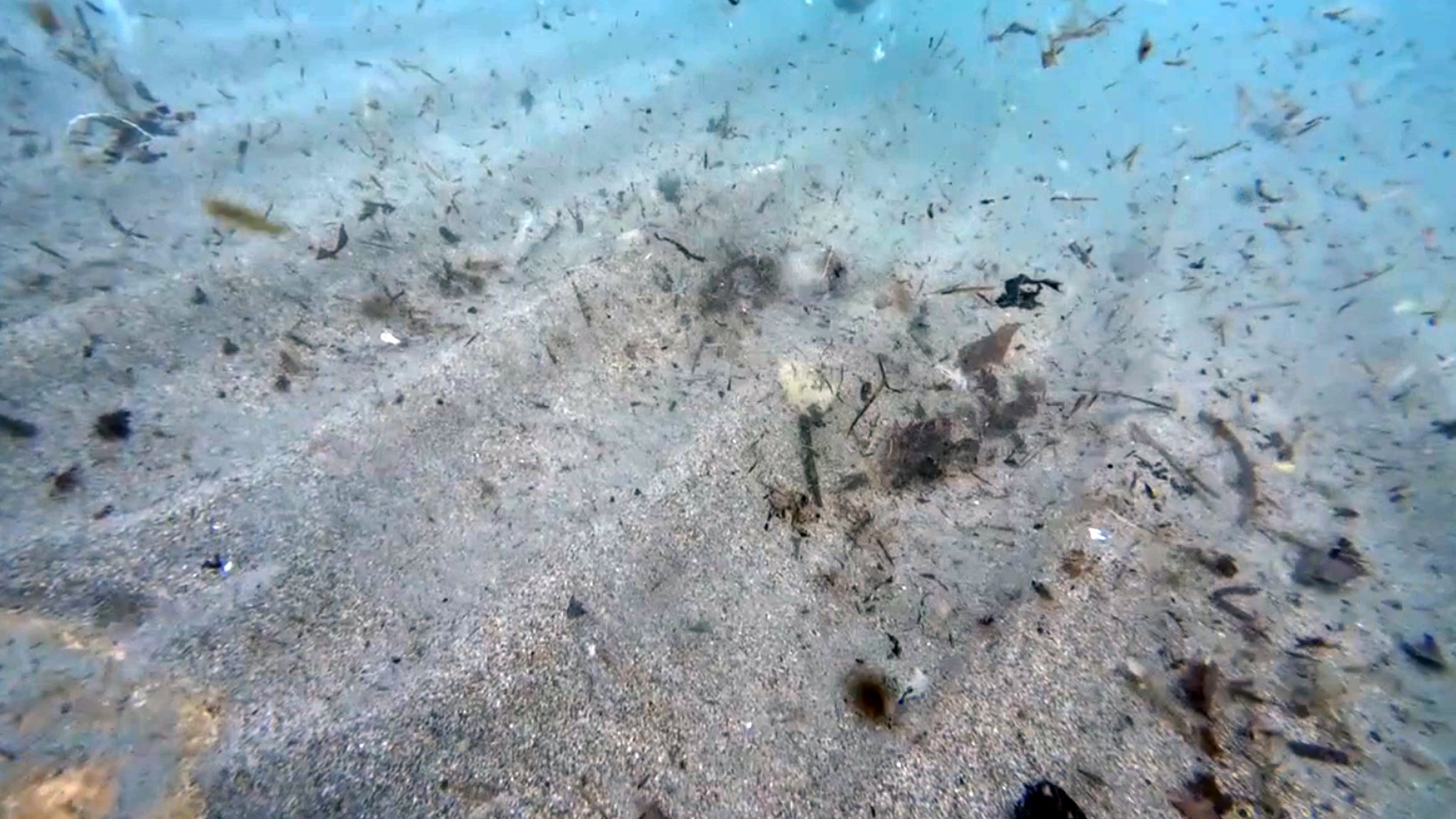 Microplastics suspended in the waters off Alanya, posing a growing threat to marine life, Türkiye, Feb. 2, 2025. (DHA Photo)