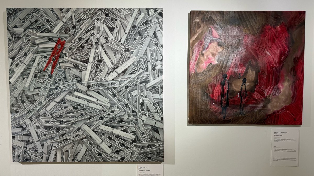 The artworks are on display at the Istanbul French Cultural Center, Istanbul, Türkiye, Feb. 7, 2025. (AA Photo)