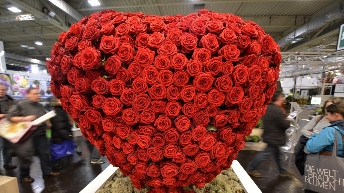 Visitors pass a heart made of red roses at the international trade fair for plants IPM, Essen, Germany, Jan. 29, 2015. (AP Photo)
