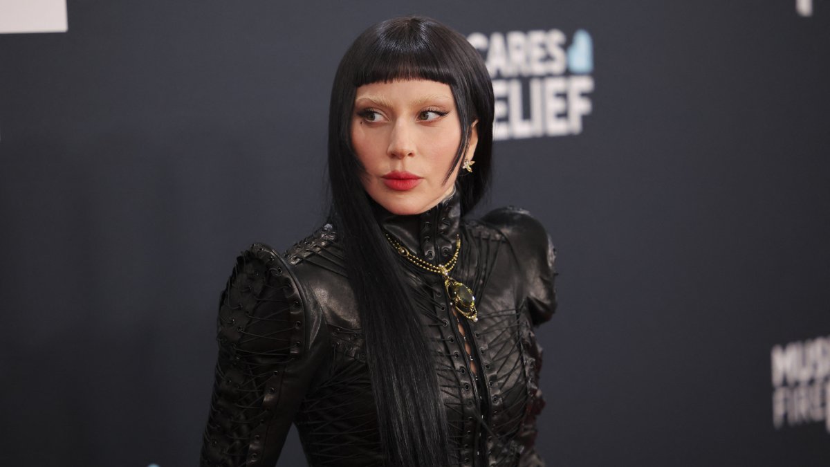 Lady Gaga poses at the red carpet during the 67th Annual Grammy Awards in Los Angeles, California, U.S., Feb. 2, 2025. (Reuters Photo)