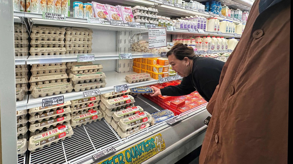 Bird flu, egg shortage force US to turn to Türkiye