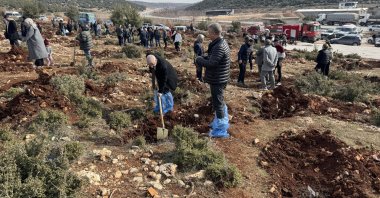 Some 420 saplings planted in memory of the Feb. 6, 2023, earthquake victims in Pazarcık, Kahramanmaraş, Türkiye, Feb. 4, 2025. (AA Photo)