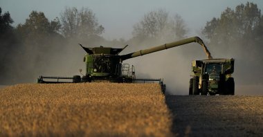  A combine is shown harvesting soybeans in Lynnville, Kentucky, U.S., Nov. 8, 2023. (AP photo)