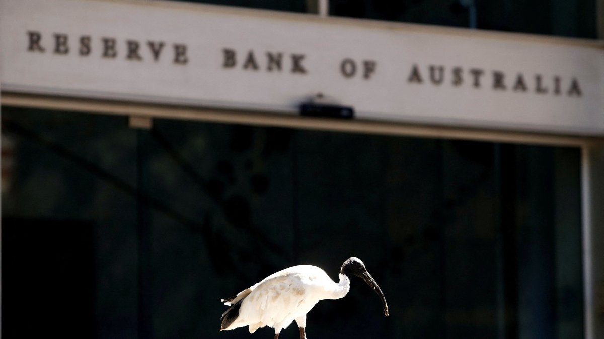An ibis bird perches next to the Reserve Bank of Australia headquarters, central Sydney, Australia, Feb. 6, 2018. (Reuters Photo)