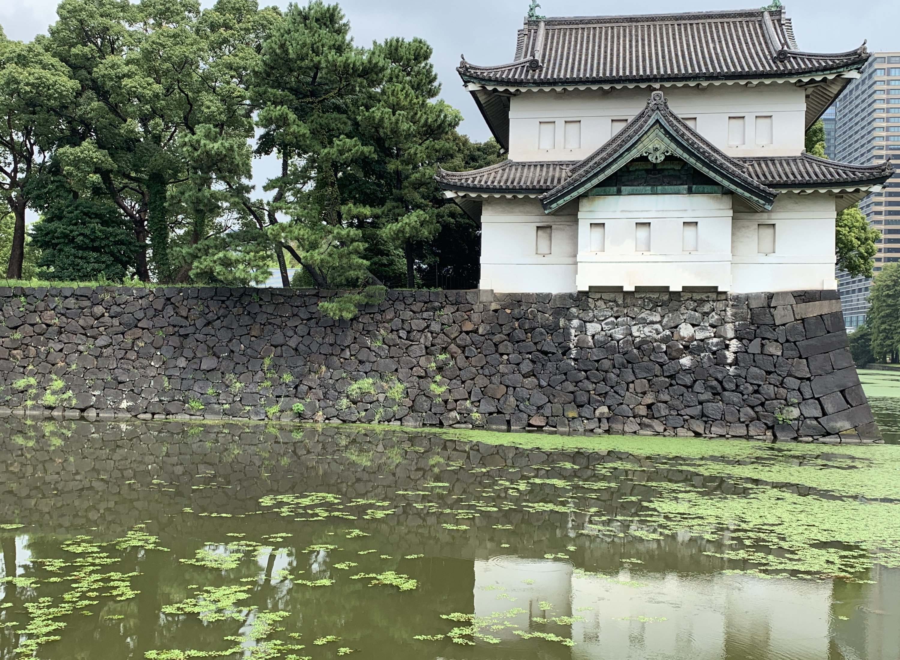 The Meiji Shrine, located within the 70-hectare forested area now known as Yoyogi Park, was completed between 1920 and 1926, Tokyo, Japan, Aug. 27, 2019. (Photo by İlker Topdemir)