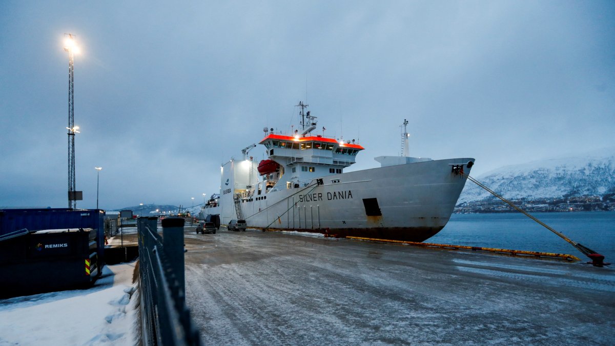 A view shows Silver Dania, a Norwegian-owned ship suspected of cable sabotage in the Baltic Sea, whose crew are Russian citizens, in the port of Tromso, where it has been brought for investigation, in Tromso, Norway, Jan. 31, 2025. (NTB/Rune Stoltz Bertinussen/via Reuters)